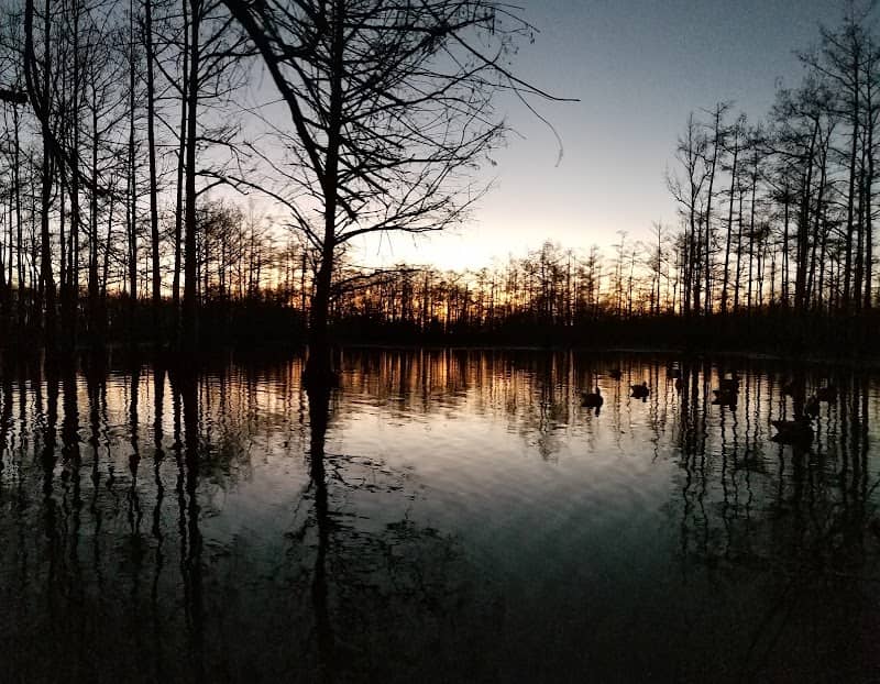 Mathews Brake National Wildlife Refuge - Image 2