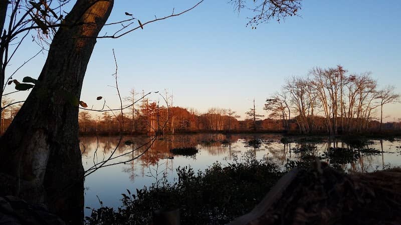 Mathews Brake National Wildlife Refuge - Image 1