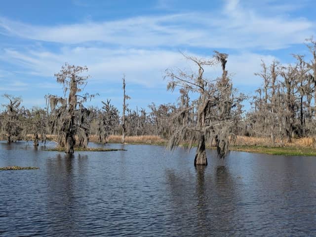 Mandalay National Wildlife Refuge - Image 3