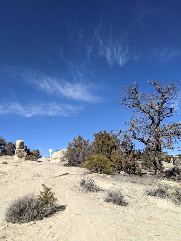 Lions Wilderness Park - Image 1