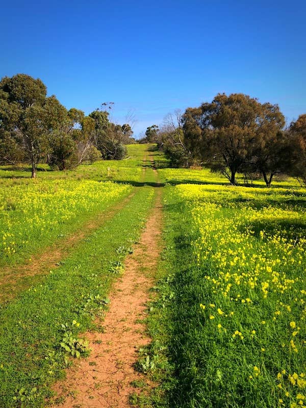 Chapel Reserve - Image 2
