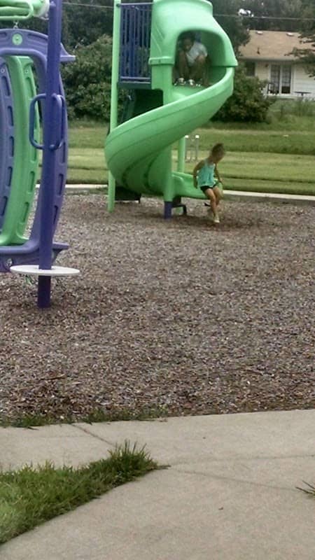 Pear Tree Park - Image 1