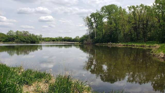 Penny Road Pond - Image 2