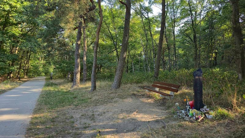 Monument Nicky Verstappen - Image 1