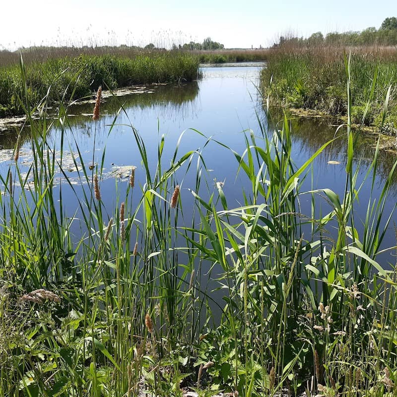 Zouweboezem - Image 1