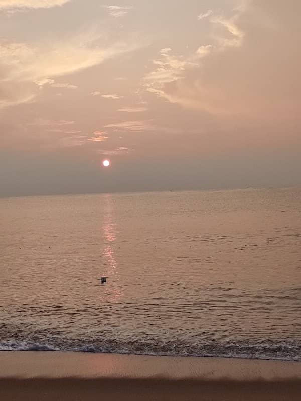 Rock beach - Image 1