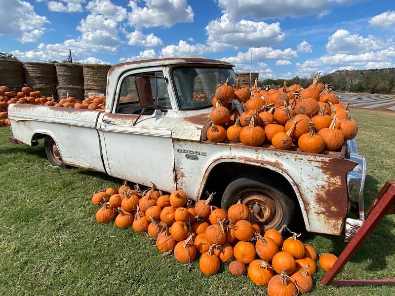 Sweet Berry Farm - Image 1