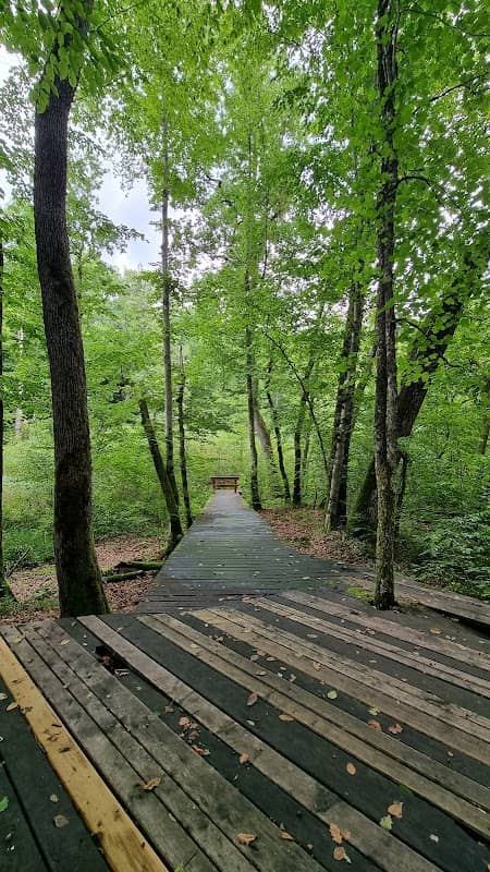 Snake Trail - Image 1