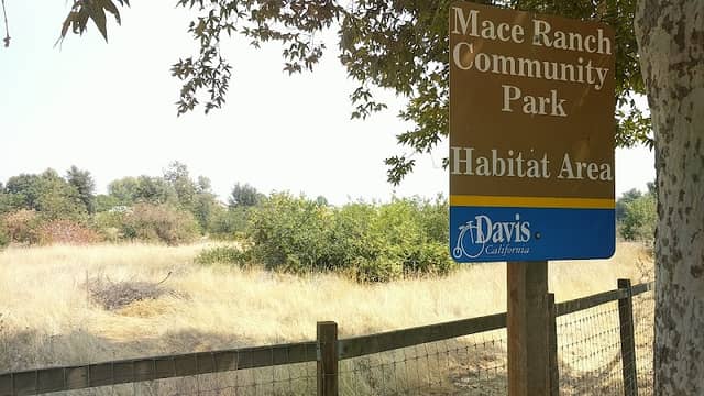Mace Ranch Habitat Areas - Image 1
