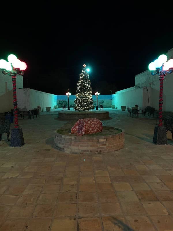 City of Raymondville Pocket Park - Image 1