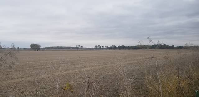 Roundtown Trail Parking Area - Image 1