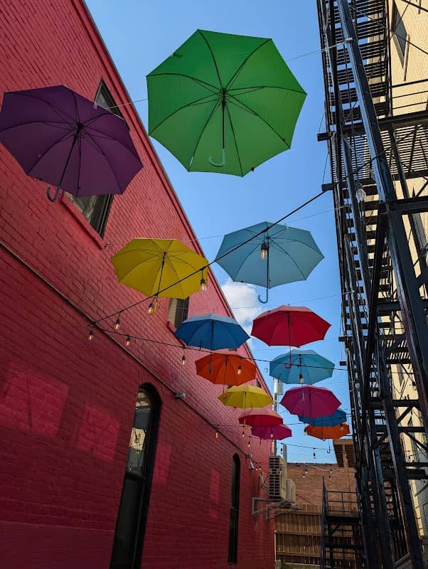 Umbrella Avenue - Image 2