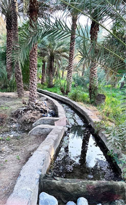 ممشى سرور - الشريعه - Image 1