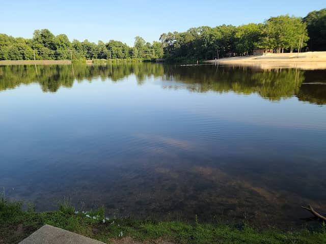 Piney Point Picnic Area - Image 2