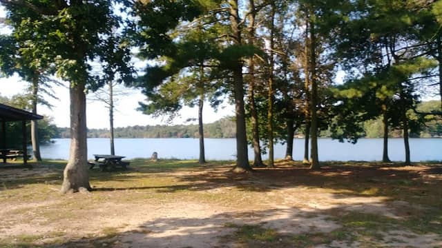 Piney Point Picnic Area - Image 1