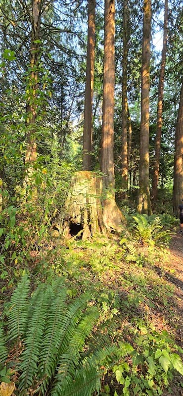 Eaglemont - Beaver Pond Trail Head - Image 2