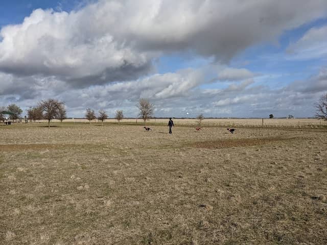 Grasslands Regional Park - Image 1