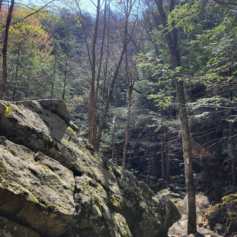 Savage Gulf State Park (South Trailhead) - Image 2