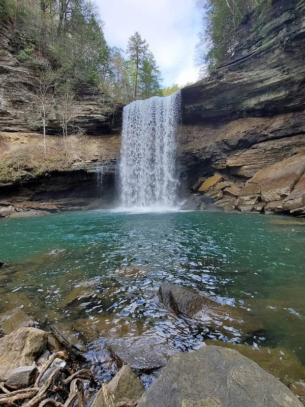 Savage Gulf State Park (South Trailhead) - Image 1