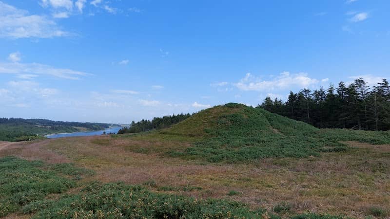 Gravhøj Bronzetiden - Image 1