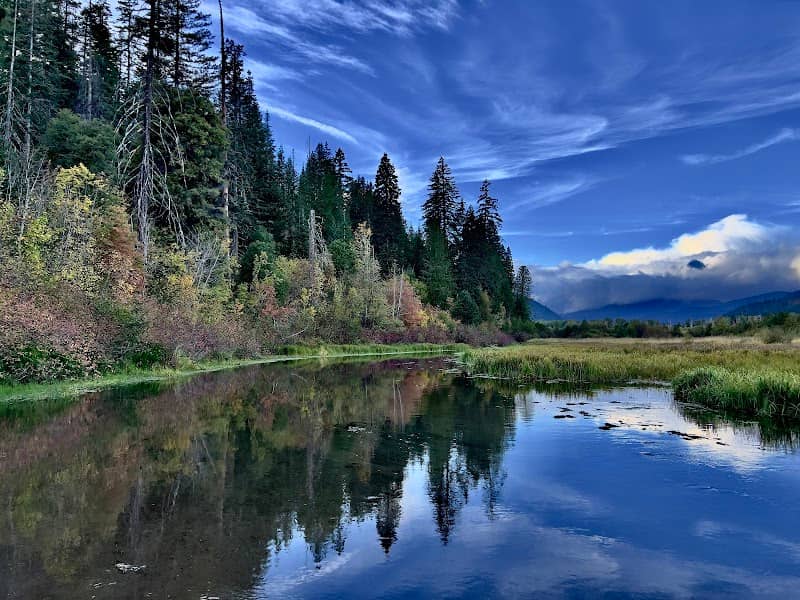 Trout Creek Meadow And Trails - Image 2