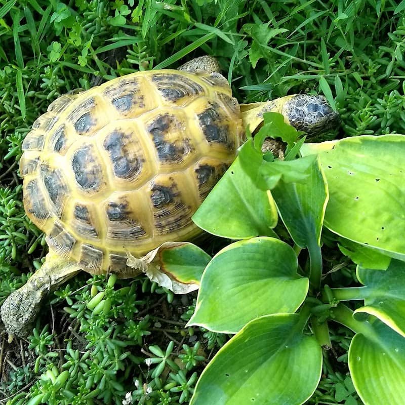 Turtle Power Park - Image 1