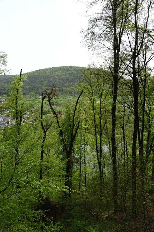 Riegelstein - Image 2