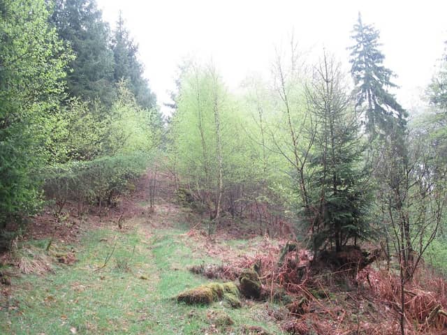 Riegelstein - Image 3