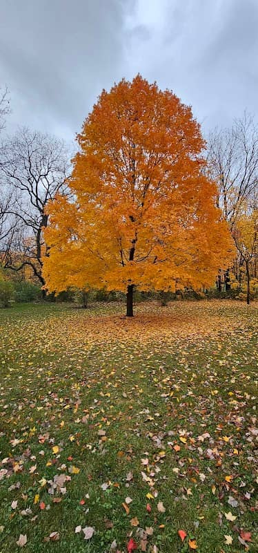 Rockford Arboretum - Image 2