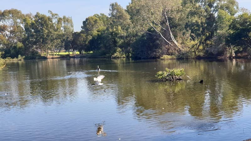 Centenary Park - Image 2