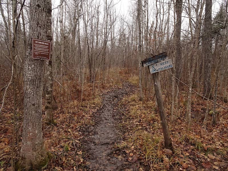 Palisade Creek West Campsite - Image 1