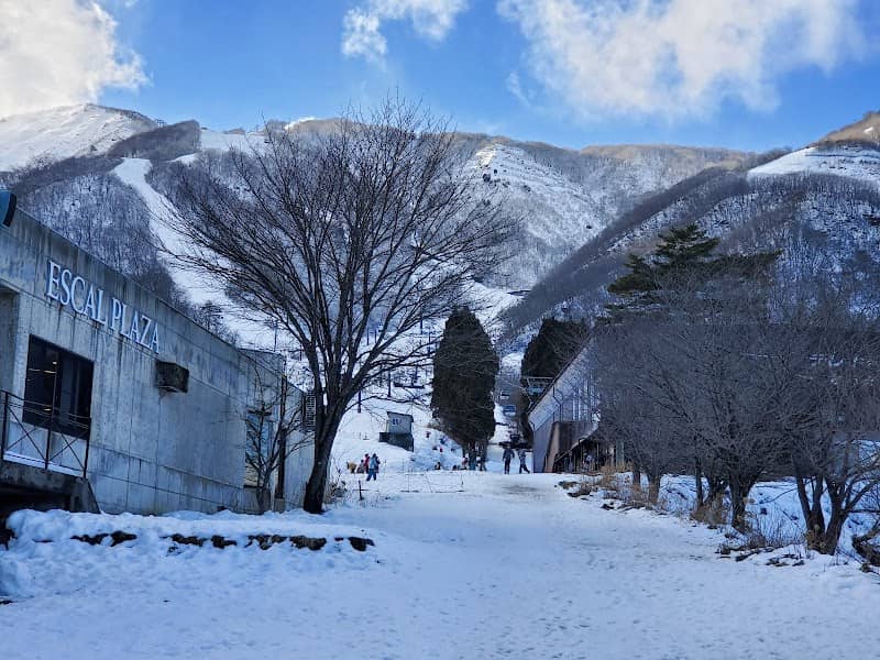 Hakuba Goryu Snow Resort - Image 2