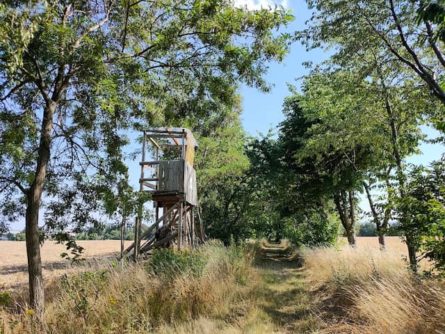 Wunschwitzer Ausichtsturm - Image 1