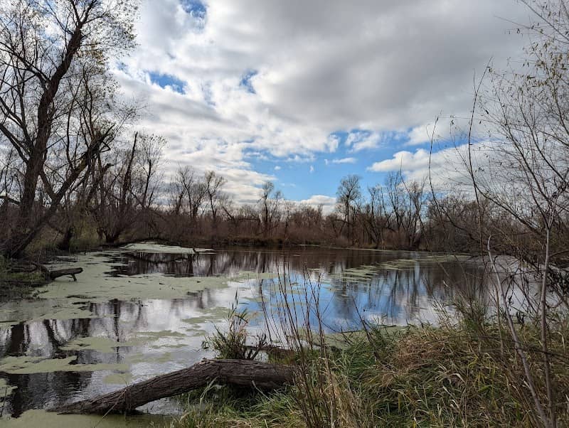Palo Marsh Natural Area - Image 1