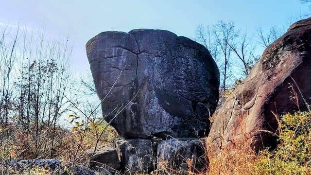 The Elephant Rock - Image 1