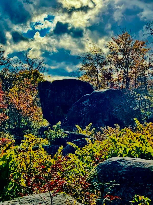 The Elephant Rock - Image 2