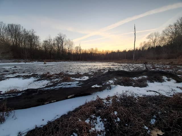 Paw Paw Marsh - Image 2