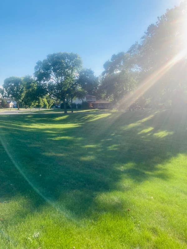 Moonlight Park - Image 1