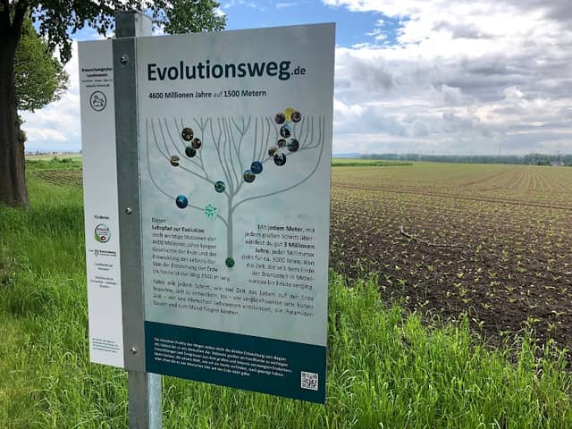 Evolutionsweg Braunschweig - Image 1