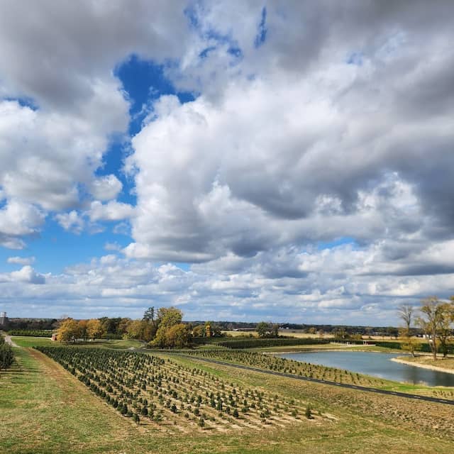 Saint Clair County Orchard Trail - Image 2