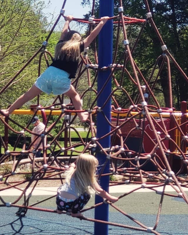 Stuart Park - Image 1