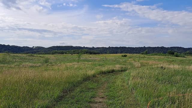 Kasota Prairie - Image 1