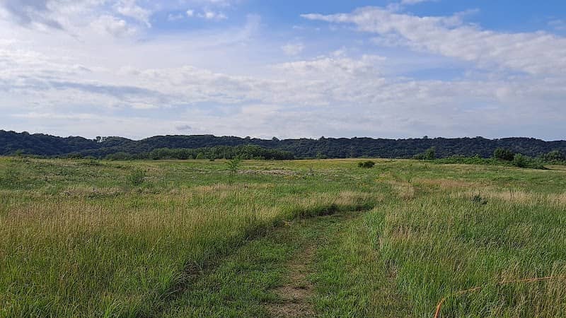 Kasota Prairie - Image 1