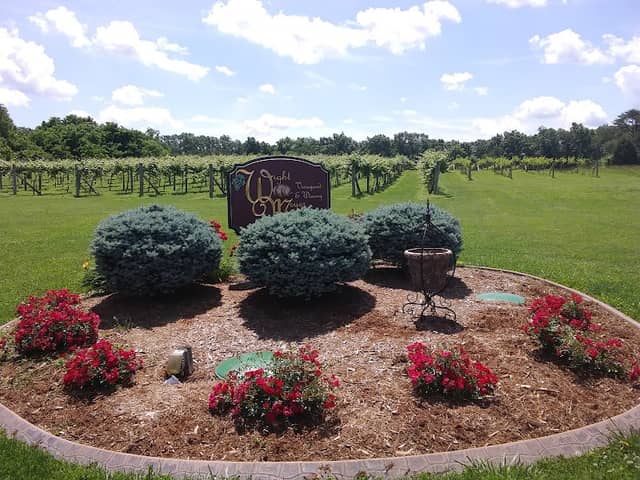 Wight-Meyer Vineyards & Winery - Image 2