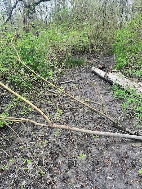 Ted Reep Trail - Image 2