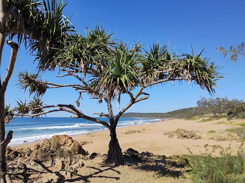 Chinaman's Beach - Image 2