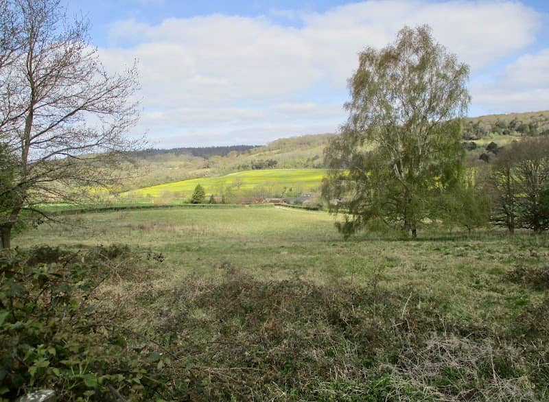 National Trust - Abinger Roughs and Netley Park - Image 2