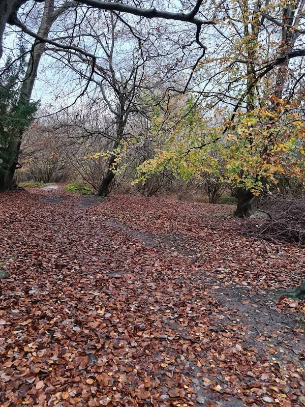 National Trust - Abinger Roughs and Netley Park - Image 1