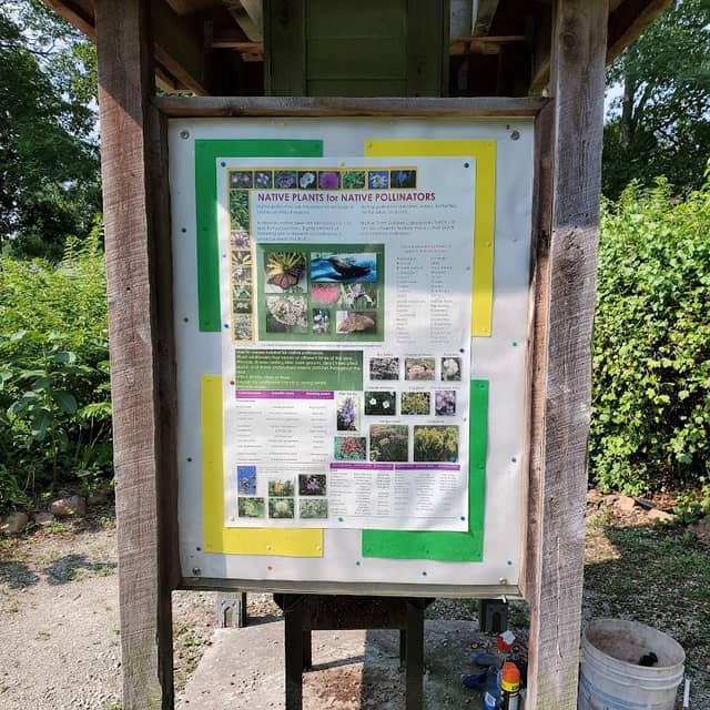 Winston Butterfly Garden - Image 1