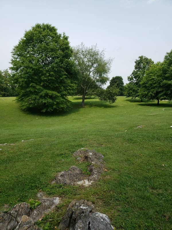 Defriece Park - Image 2